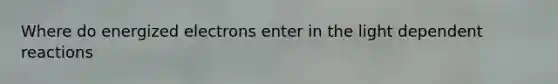 Where do energized electrons enter in the light dependent reactions