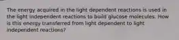 The energy acquired in the light dependent reactions is used in the light independent reactions to build glucose molecules. How is this energy transferred from light dependent to light independent reactions?