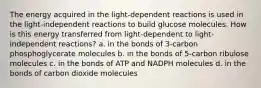 The energy acquired in the light-dependent reactions is used in the light-independent reactions to build glucose molecules. How is this energy transferred from light-dependent to light-independent reactions? a. in the bonds of 3-carbon phosphoglycerate molecules b. in the bonds of 5-carbon ribulose molecules c. in the bonds of ATP and NADPH molecules d. in the bonds of carbon dioxide molecules