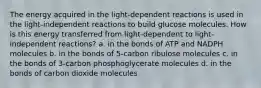 The energy acquired in the light-dependent reactions is used in the light-independent reactions to build glucose molecules. How is this energy transferred from light-dependent to light-independent reactions? a. in the bonds of ATP and NADPH molecules b. in the bonds of 5-carbon ribulose molecules c. in the bonds of 3-carbon phosphoglycerate molecules d. in the bonds of carbon dioxide molecules