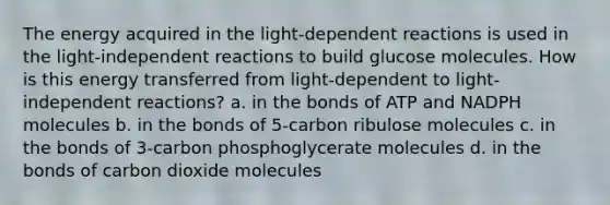 The energy acquired in the light-dependent reactions is used in the light-independent reactions to build glucose molecules. How is this energy transferred from light-dependent to light-independent reactions? a. in the bonds of ATP and NADPH molecules b. in the bonds of 5-carbon ribulose molecules c. in the bonds of 3-carbon phosphoglycerate molecules d. in the bonds of carbon dioxide molecules