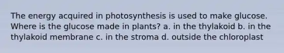 The energy acquired in photosynthesis is used to make glucose. Where is the glucose made in plants? a. in the thylakoid b. in the thylakoid membrane c. in the stroma d. outside the chloroplast