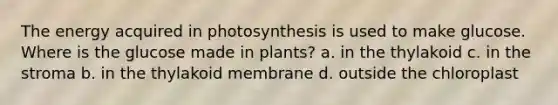 The energy acquired in photosynthesis is used to make glucose. Where is the glucose made in plants? a. in the thylakoid c. in the stroma b. in the thylakoid membrane d. outside the chloroplast