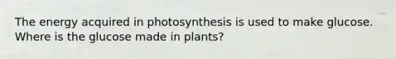 The energy acquired in photosynthesis is used to make glucose. Where is the glucose made in plants?