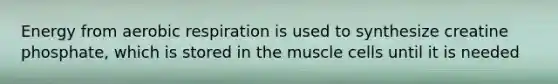 Energy from <a href='https://www.questionai.com/knowledge/kyxGdbadrV-aerobic-respiration' class='anchor-knowledge'>aerobic respiration</a> is used to synthesize creatine phosphate, which is stored in the muscle cells until it is needed