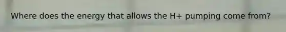 Where does the energy that allows the H+ pumping come from?