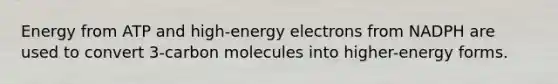 Energy from ATP and high-energy electrons from NADPH are used to convert 3-carbon molecules into higher-energy forms.