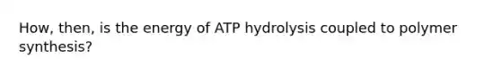 How, then, is the energy of ATP hydrolysis coupled to polymer synthesis?