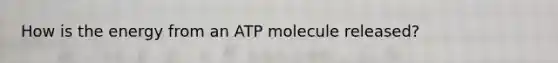 How is the energy from an ATP molecule released?