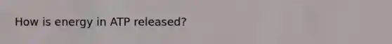 How is energy in ATP released?