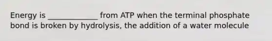 Energy is _____________ from ATP when the terminal phosphate bond is broken by hydrolysis, the addition of a water molecule