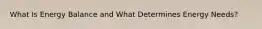 What Is Energy Balance and What Determines Energy Needs?