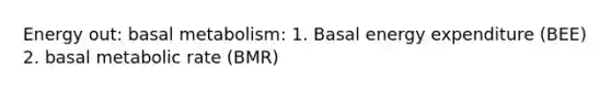 Energy out: basal metabolism: 1. Basal energy expenditure (BEE) 2. basal metabolic rate (BMR)