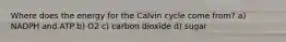 Where does the energy for the Calvin cycle come from? a) NADPH and ATP b) O2 c) carbon dioxide d) sugar