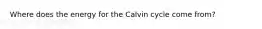 Where does the energy for the Calvin cycle come from?