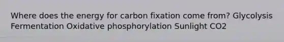 Where does the energy for carbon fixation come from? Glycolysis Fermentation Oxidative phosphorylation Sunlight CO2