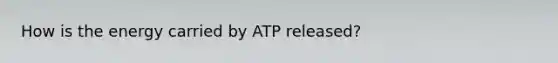 How is the energy carried by ATP released?