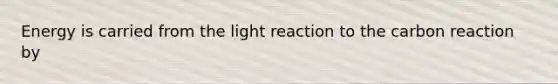 Energy is carried from the light reaction to the carbon reaction by