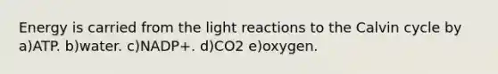 Energy is carried from the <a href='https://www.questionai.com/knowledge/kSUoWrrvoC-light-reactions' class='anchor-knowledge'>light reactions</a> to the Calvin cycle by a)ATP. b)water. c)NADP+. d)CO2 e)oxygen.