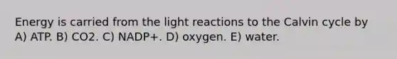 Energy is carried from the light reactions to the Calvin cycle by A) ATP. B) CO2. C) NADP+. D) oxygen. E) water.