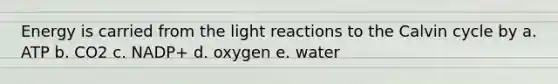 Energy is carried from the light reactions to the Calvin cycle by a. ATP b. CO2 c. NADP+ d. oxygen e. water