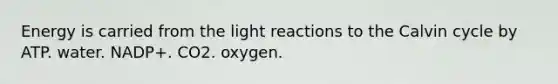 Energy is carried from the light reactions to the Calvin cycle by ATP. water. NADP+. CO2. oxygen.