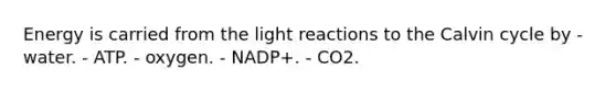 Energy is carried from the <a href='https://www.questionai.com/knowledge/kSUoWrrvoC-light-reactions' class='anchor-knowledge'>light reactions</a> to the Calvin cycle by - water. - ATP. - oxygen. - NADP+. - CO2.