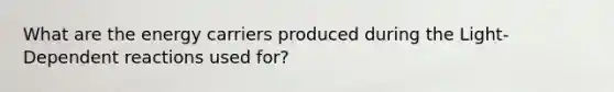 What are the energy carriers produced during the Light-Dependent reactions used for?