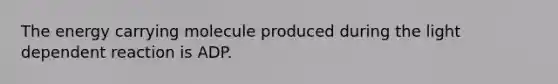 The energy carrying molecule produced during the light dependent reaction is ADP.