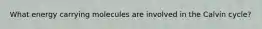 What energy carrying molecules are involved in the Calvin cycle?