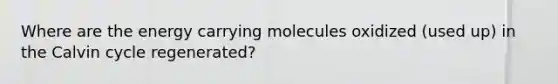 Where are the energy carrying molecules oxidized (used up) in the Calvin cycle regenerated?