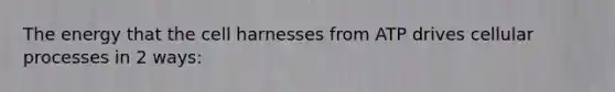 The energy that the cell harnesses from ATP drives cellular processes in 2 ways: