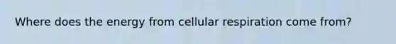 Where does the energy from <a href='https://www.questionai.com/knowledge/k1IqNYBAJw-cellular-respiration' class='anchor-knowledge'>cellular respiration</a> come from?