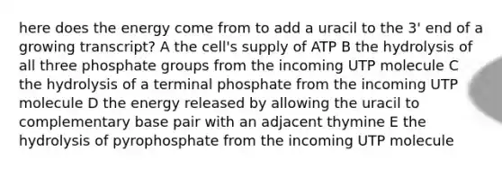 here does the energy come from to add a uracil to the 3' end of a growing transcript? A the cell's supply of ATP B the hydrolysis of all three phosphate groups from the incoming UTP molecule C the hydrolysis of a terminal phosphate from the incoming UTP molecule D the energy released by allowing the uracil to complementary base pair with an adjacent thymine E the hydrolysis of pyrophosphate from the incoming UTP molecule