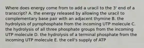 Where does energy come from to add a uracil to the 3' end of a transcript? A. the energy released by allowing the uracil to complementary base pair with an adjacent thymine B. the hydrolysis of pyrophosphate from the incoming UTP molecule C. the hydrolysis of all three phosphate groups from the incoming UTP molecule D. the hydrolysis of a terminal phosphate from the incoming UTP molecule E. the cell's supply of ATP