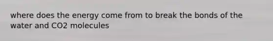 where does the energy come from to break the bonds of the water and CO2 molecules