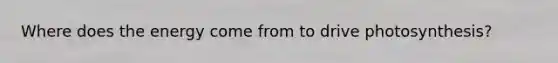 Where does the energy come from to drive photosynthesis?