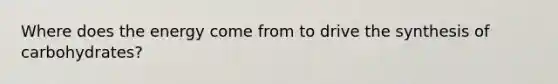 Where does the energy come from to drive the synthesis of carbohydrates?