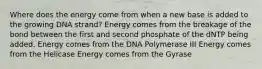 Where does the energy come from when a new base is added to the growing DNA strand? Energy comes from the breakage of the bond between the first and second phosphate of the dNTP being added. Energy comes from the DNA Polymerase III Energy comes from the Helicase Energy comes from the Gyrase