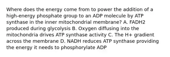 Where does the energy come from to power the addition of a high-energy phosphate group to an ADP molecule by ATP synthase in the inner mitochondrial membrane? A. FADH2 produced during glycolysis B. Oxygen diffusing into the mitochondria drives ATP synthase activity C. The H+ gradient across the membrane D. NADH reduces ATP synthase providing the energy it needs to phosphorylate ADP