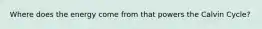 Where does the energy come from that powers the Calvin Cycle?