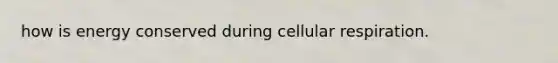 how is energy conserved during cellular respiration.