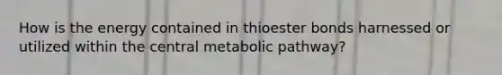 How is the energy contained in thioester bonds harnessed or utilized within the central metabolic pathway?