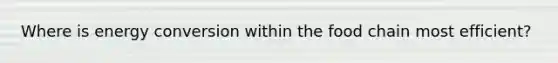 Where is energy conversion within the food chain most efficient?