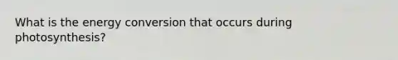 What is the energy conversion that occurs during photosynthesis?