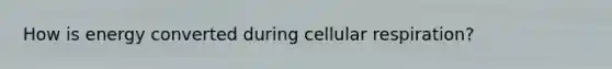 How is energy converted during cellular respiration?