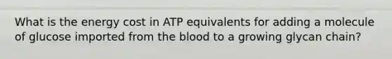 What is the energy cost in ATP equivalents for adding a molecule of glucose imported from the blood to a growing glycan chain?