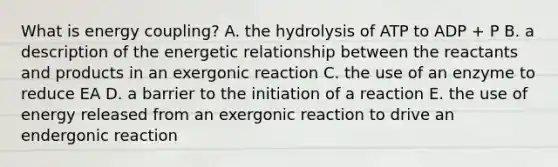 What is energy coupling? A. the hydrolysis of ATP to ADP + P B. a description of the energetic relationship between the reactants and products in an exergonic reaction C. the use of an enzyme to reduce EA D. a barrier to the initiation of a reaction E. the use of energy released from an exergonic reaction to drive an endergonic reaction