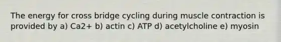 The energy for cross bridge cycling during muscle contraction is provided by a) Ca2+ b) actin c) ATP d) acetylcholine e) myosin