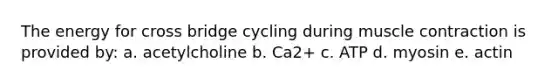 The energy for cross bridge cycling during <a href='https://www.questionai.com/knowledge/k0LBwLeEer-muscle-contraction' class='anchor-knowledge'>muscle contraction</a> is provided by: a. acetylcholine b. Ca2+ c. ATP d. myosin e. actin